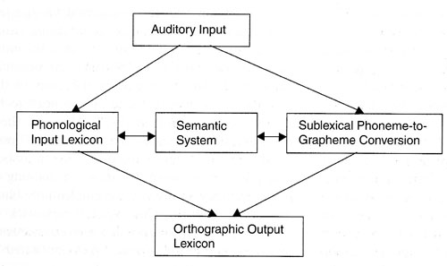 Модель дисграфий