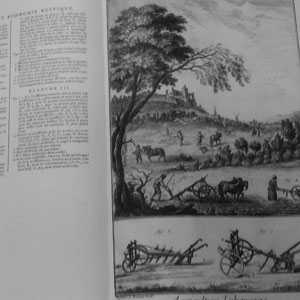 Энциклопедия Дидро, раздел агрокультуры