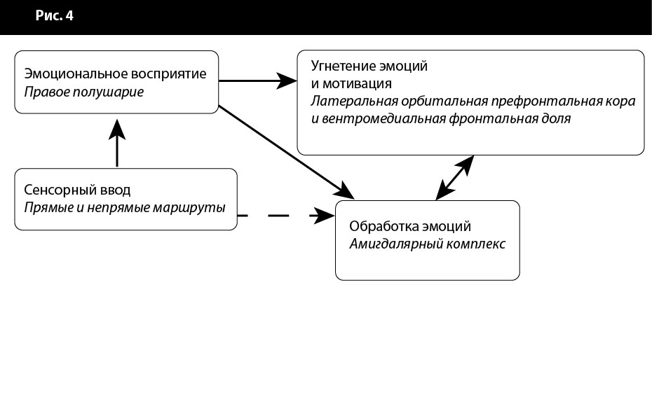 рудиментарная модель обработки внешних стимулов