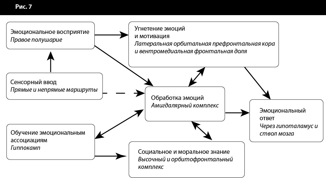 эмоциональный ответ