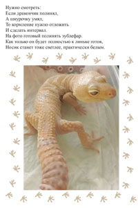 Книга про гекконов