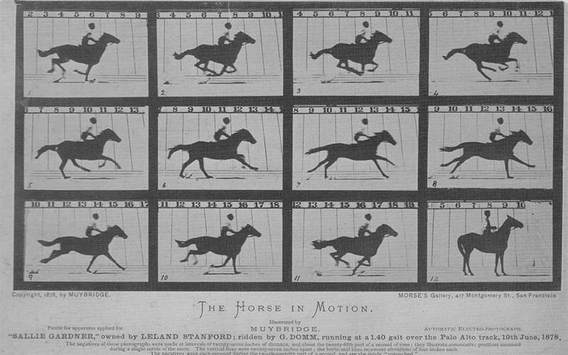 Лошадь в движении, Эдверд Мэйбридж