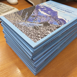 Стопка книг