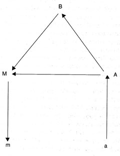 Модель транскортикальной афазии по Лихтхейму